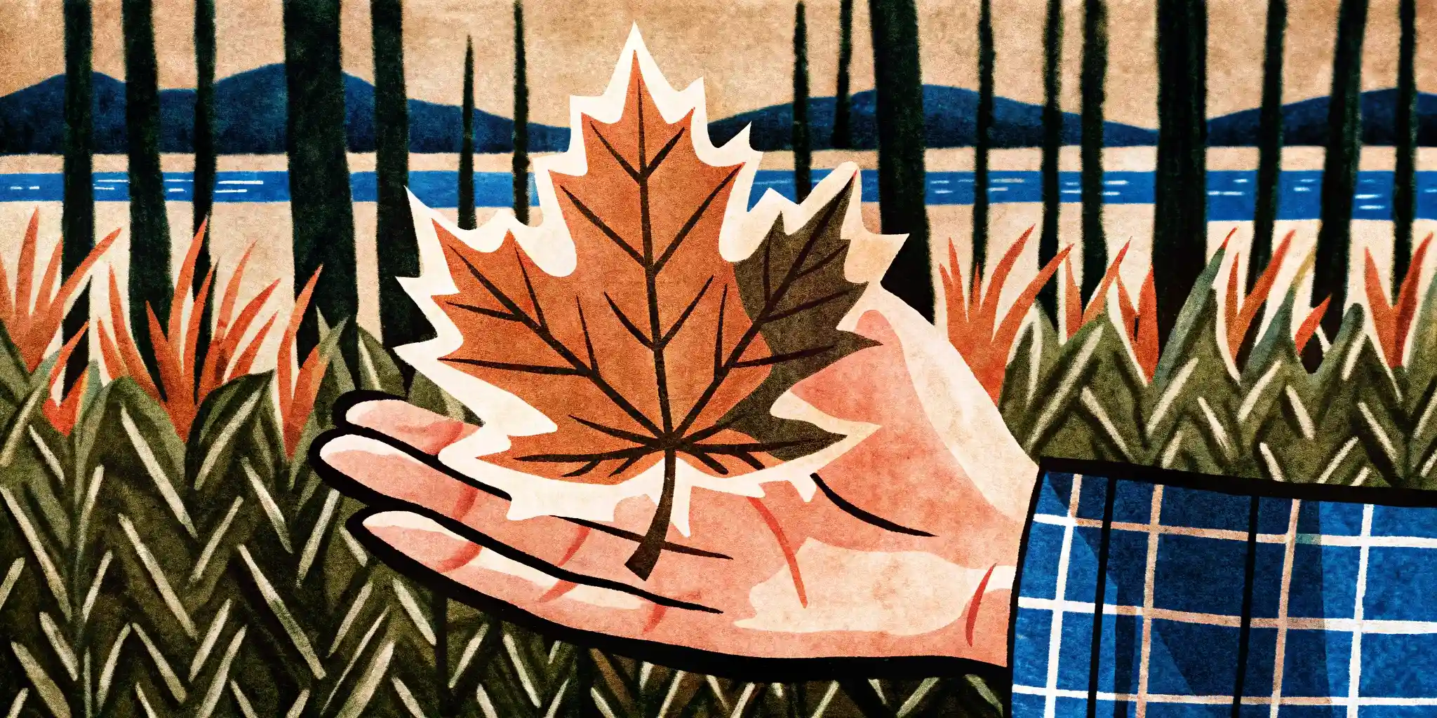 a hand holds the maple leaf